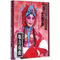 音像地方戏曲栾波 著