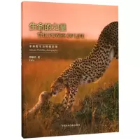 音像生命的力量(非洲野生动物摄影集)(精)周顺华