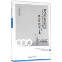 音像管道局坦桑尼亚天然气管道工程项目技术管理集周燕韬 主编