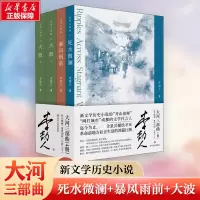 音像大河三部曲 死水微澜+暴风雨前+ 大波(上下)(全4册)李劼人
