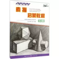 音像素描启蒙教程武汉市青少年宫 编著