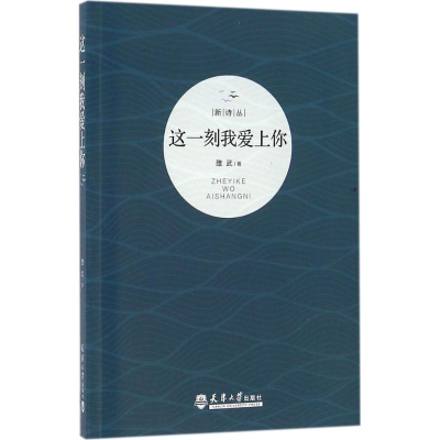 音像这一刻我爱上你雒武 著