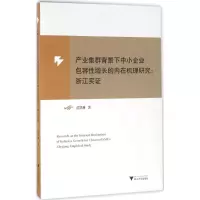音像产业集群背景下中小企业包容增长的内在机理研究范轶琳 著