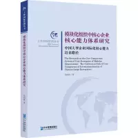 音像模块化组织中核心企业核心能力体系研究吴昀桥 著
