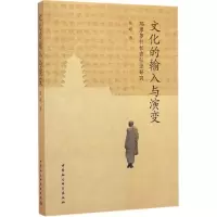 音像文化的输入与演变崔峰 著