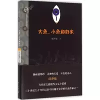 音像大鱼、小鱼和虾米邱华栋 著
