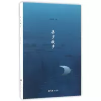音像异乡故乡王啸峰