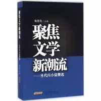 音像聚焦文新流程思良 主编