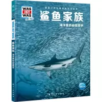 音像鲨鱼家族(德)曼弗雷德·鲍尔