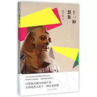 音像十一种想象邱华栋