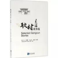 音像耿村故事选魏怡 等 编著