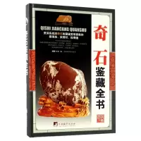 音像奇石鉴藏全书(精)编者:沈泓