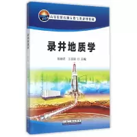 音像录井地质学陈恭洋,王志战 主编