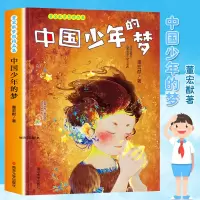 音像中国少年的梦/董宏猷梦想精品集董宏猷