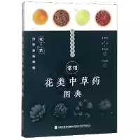 音像常用花类草图典编者:王柳萍//辛华//黄克南
