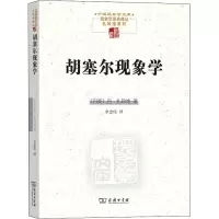 音像胡塞尔现象学(丹)丹·扎哈维