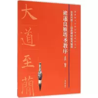 音像褚遂良雁塔圣教序沈浩 编著