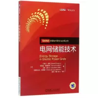音像电网储能技术/智能电网关键技术研究与应用丛书