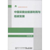 音像中国采掘业能源利用与低碳发展孔庆宝 著