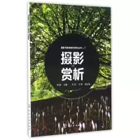 音像摄影赏析/摄影与影视制作系列丛书编者:陈勤