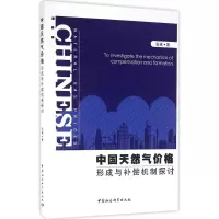 音像中国天然气价格形成与补偿机制探讨张英 著