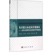 音像从开放大市走向开放强市周升起 等 著