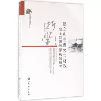 音像建立和完善公共财政安全监测预警机制研究张维平 著