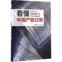 音像懂产能过剩徐滇庆,刘颖 著