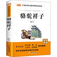音像骆驼祥子老舍