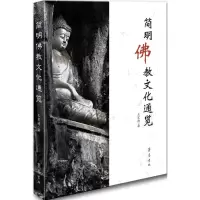 音像简明文化通览王宏涛 著