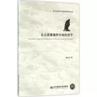 音像社会思潮视野中的经济学朱成全 著