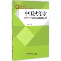 音像中国式治水王晓莉 著