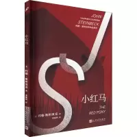 音像小红马(美)约翰·斯贝