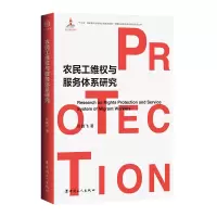 音像农民工维权与服务体系研究叶鹏飞