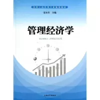 音像管理经济学(实用工商管理专业规划教材)聂永有