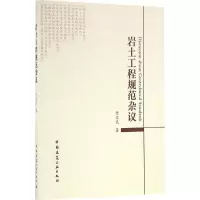 音像岩土工程规范杂议付文光 著