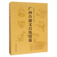 音像广西合浦文昌塔汉墓(精)编者:广西文物保护与考古研究所