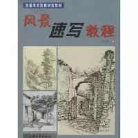 音像风景速写教程陈华新 著