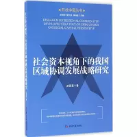 音像社会资本视角下的我国区域协调发展战略研究赵家章 著