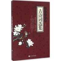 音像语言的天籁孙朦 编著