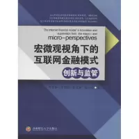 音像宏微观视角下的互联网金融模式创新与监管帅青红 等 著