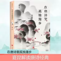 音像在唐诗里孤独漫步夏昆