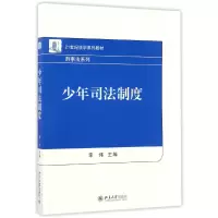 音像少年司法制度(21世纪法学系列教材)/刑事法系列编者:李伟