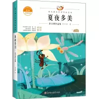 音像夏夜多美彭万洲