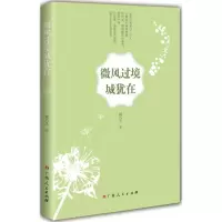 音像微风过境城犹在妮巧儿 著