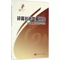 音像碎屑岩油气藏相控地质建模技术研究与应用董伟 著