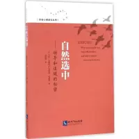 音像自然选中