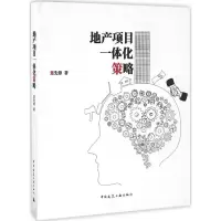 音像地产项目一体化策略楚先锋 著