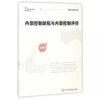 音像内部控制缺陷与内部控制评价/青年经济学者文库林野萌