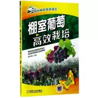 音像棚室葡萄高效栽培(双色印刷)/高效种植致富直通车编者:翟秋喜
